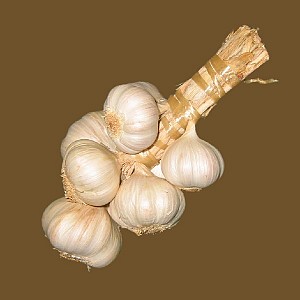 Foto van de desbetreffende plant